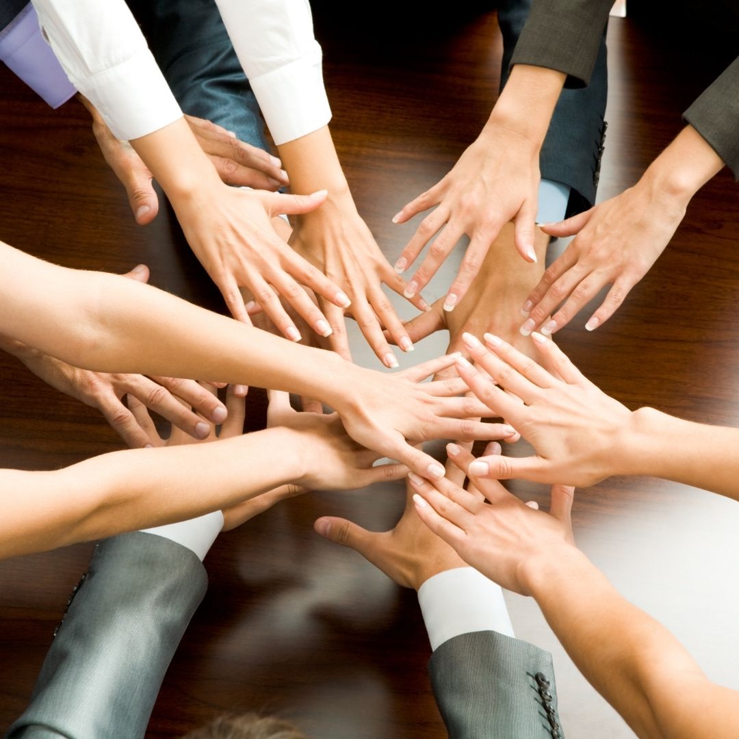 Organik Tarım Yöneticisi Eğitimi | Sertifika Programı